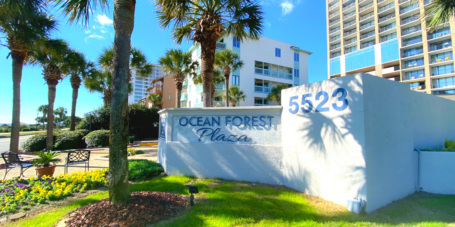 ocean forest plaza ocean forest plaza 006.jpg