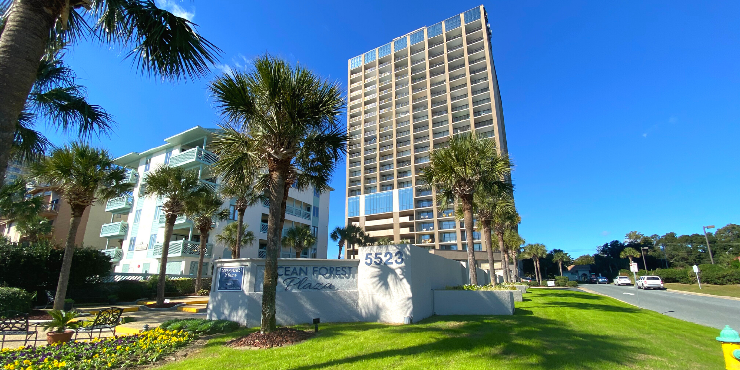 ocean forest plaza2